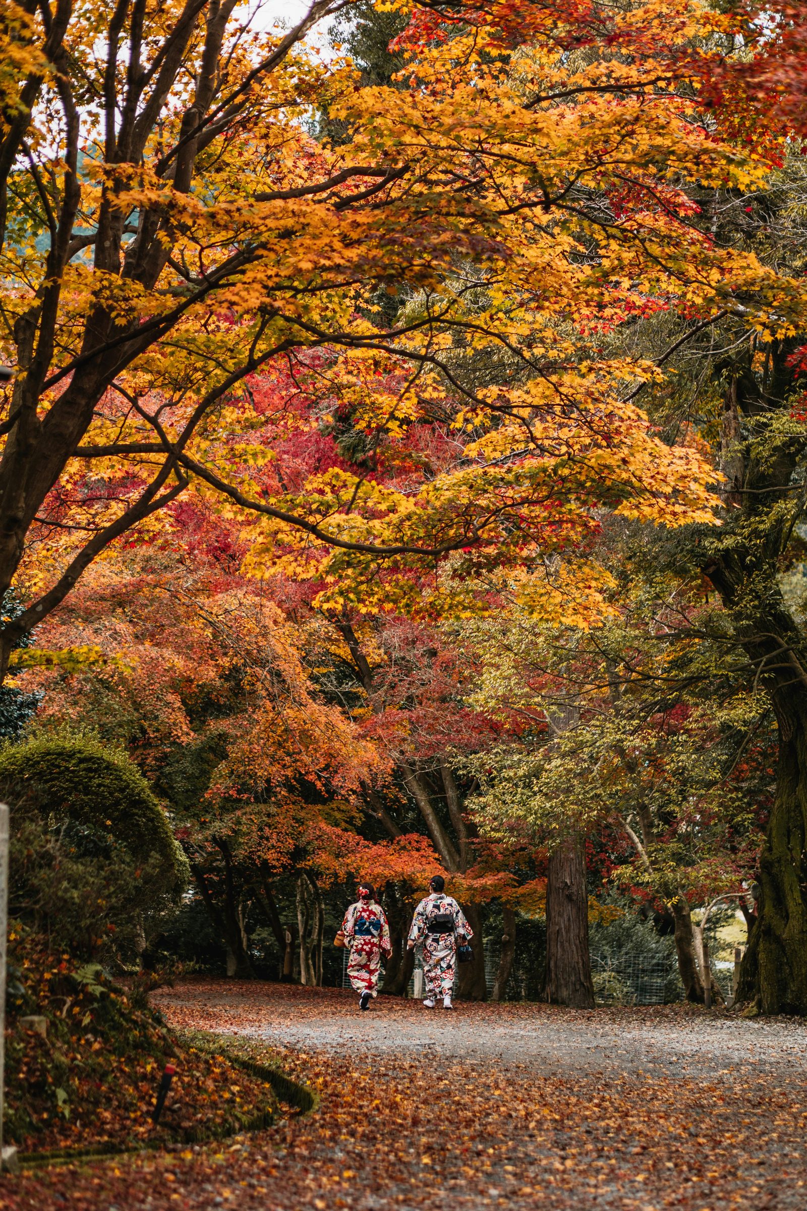 Autumn leaves along a garden path in Japan.