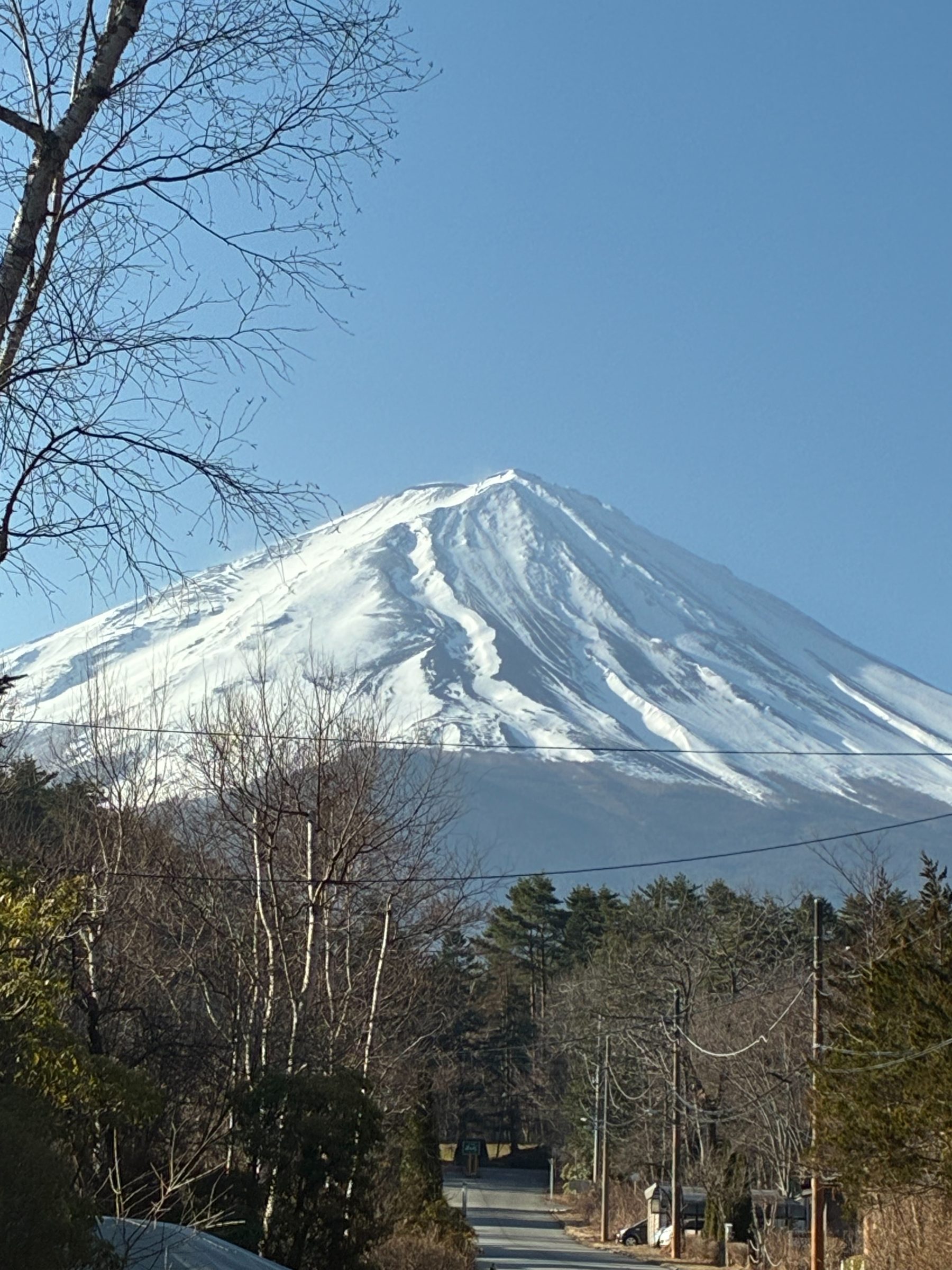 Mount Fuji with a seasonal Japanese landscape, representing a long-term connection to Japan.
