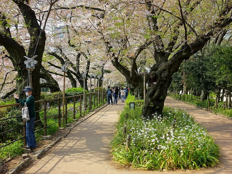 千鳥ヶ淵