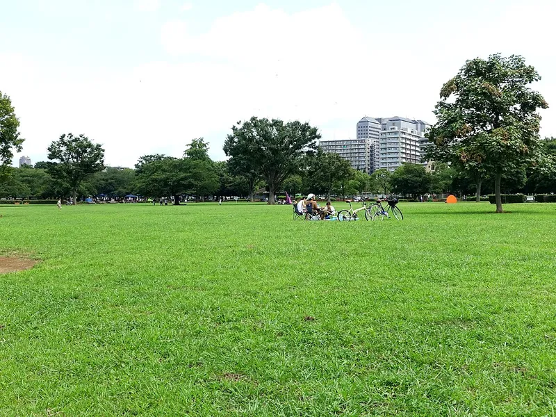 Kiba Park