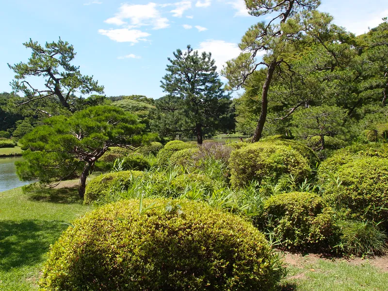 Rikugien Garden