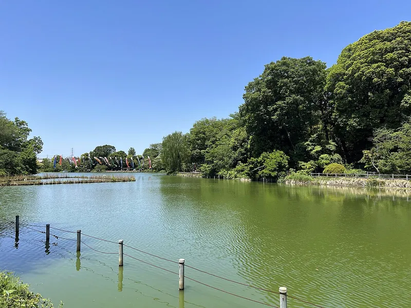 Zenpukuji Park