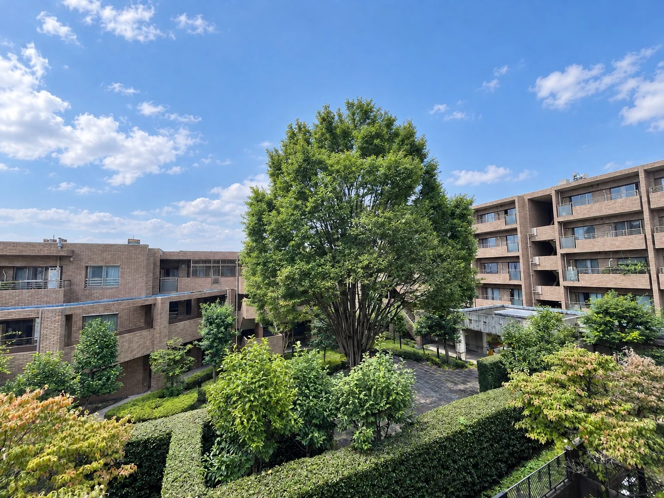 從杉並區 LIONS STAGE SHIMOTAKAIDO 眺望園林綠地