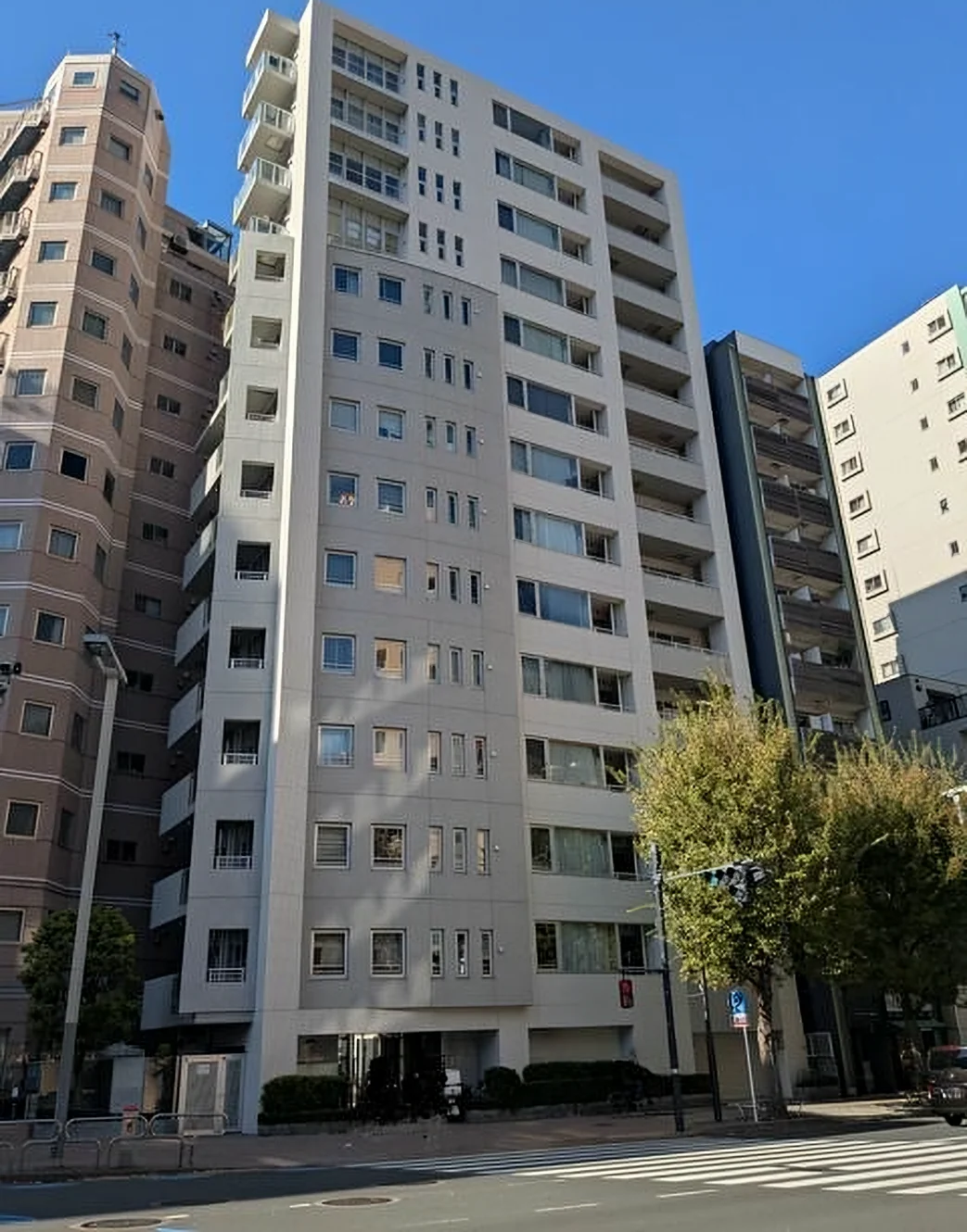 RACONTE SHINJUKU CENTRAL PARK — Nishi-Shinjuku, Shinjuku-ku, Tokyo